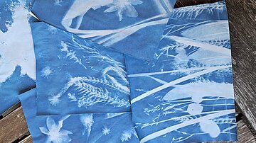 Ferienprogramm | Cyanotypie